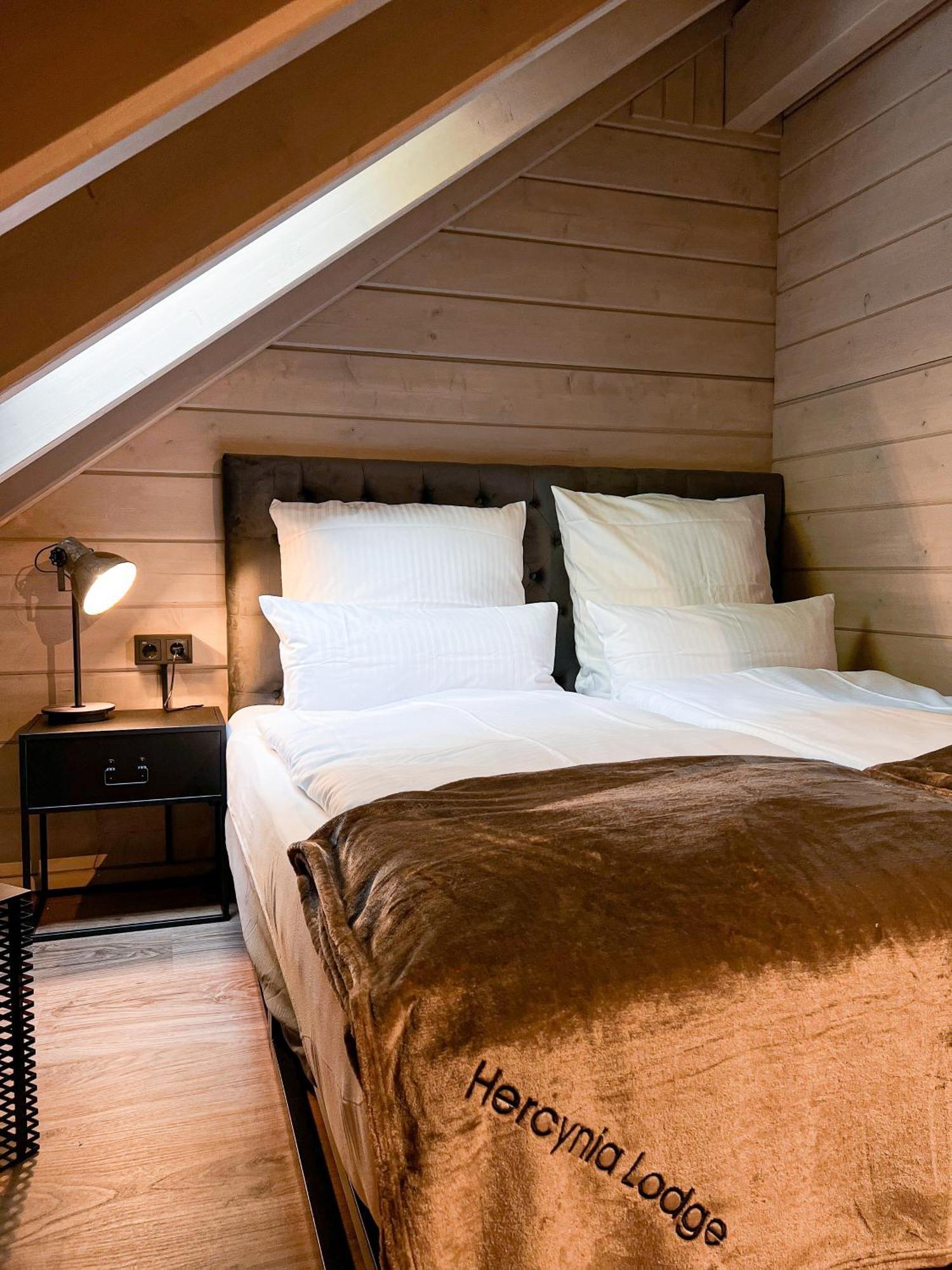 Hercynia Lodge Bad Lauterberg Dış mekan fotoğraf